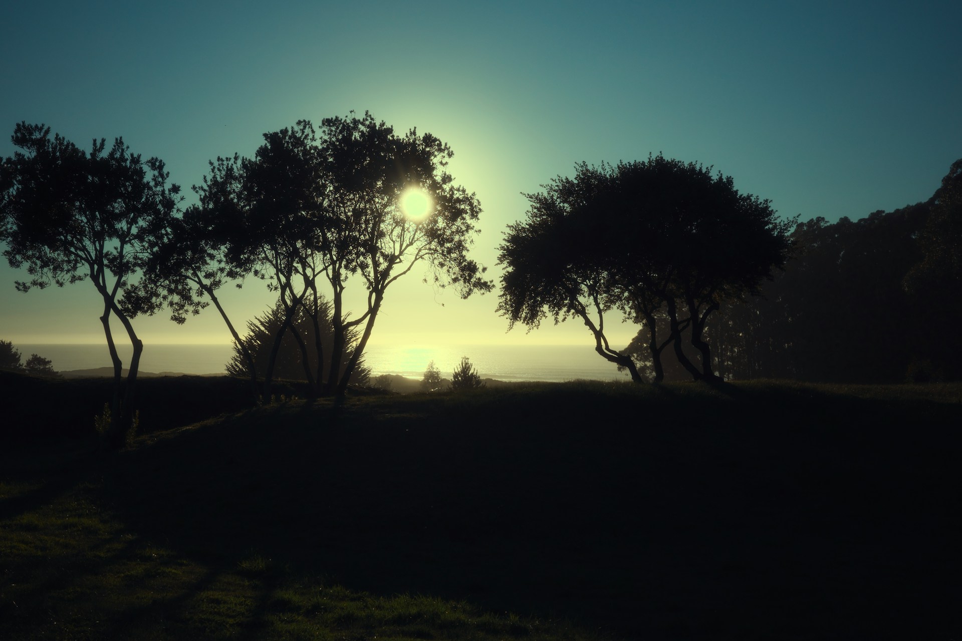 Lorem ipsum dolor sit amet.