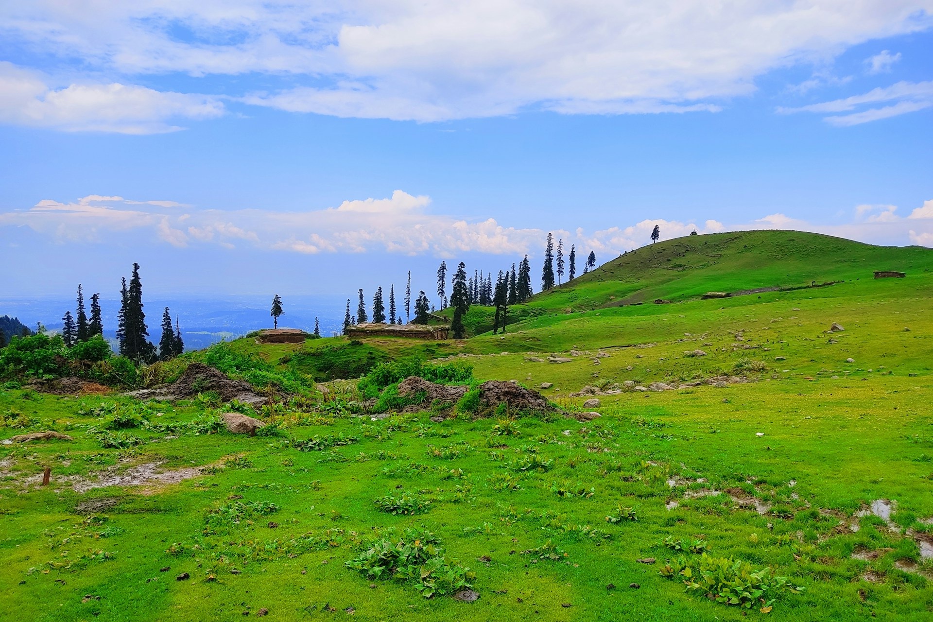 Lorem ipsum dolor sit amet.