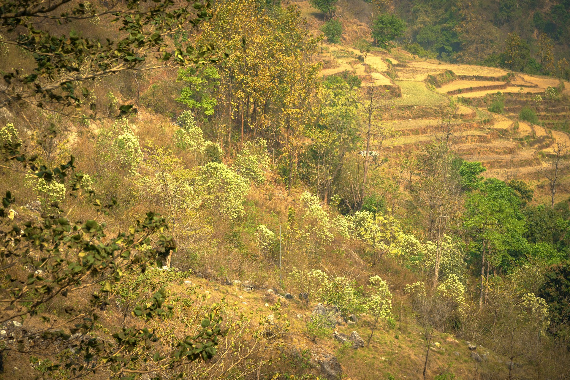 Lorem ipsum dolor sit amet.