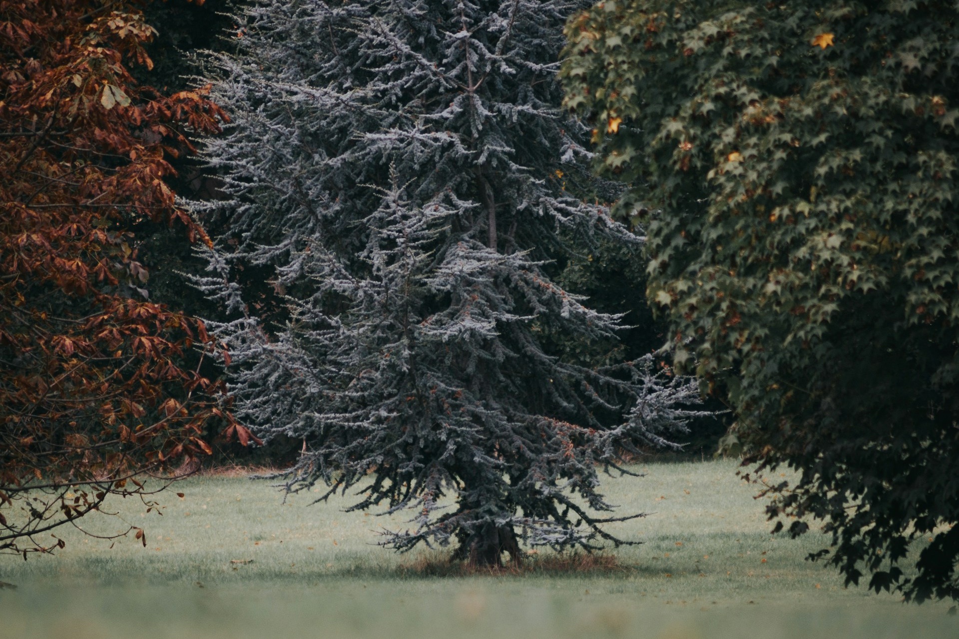 Lorem ipsum dolor sit amet.