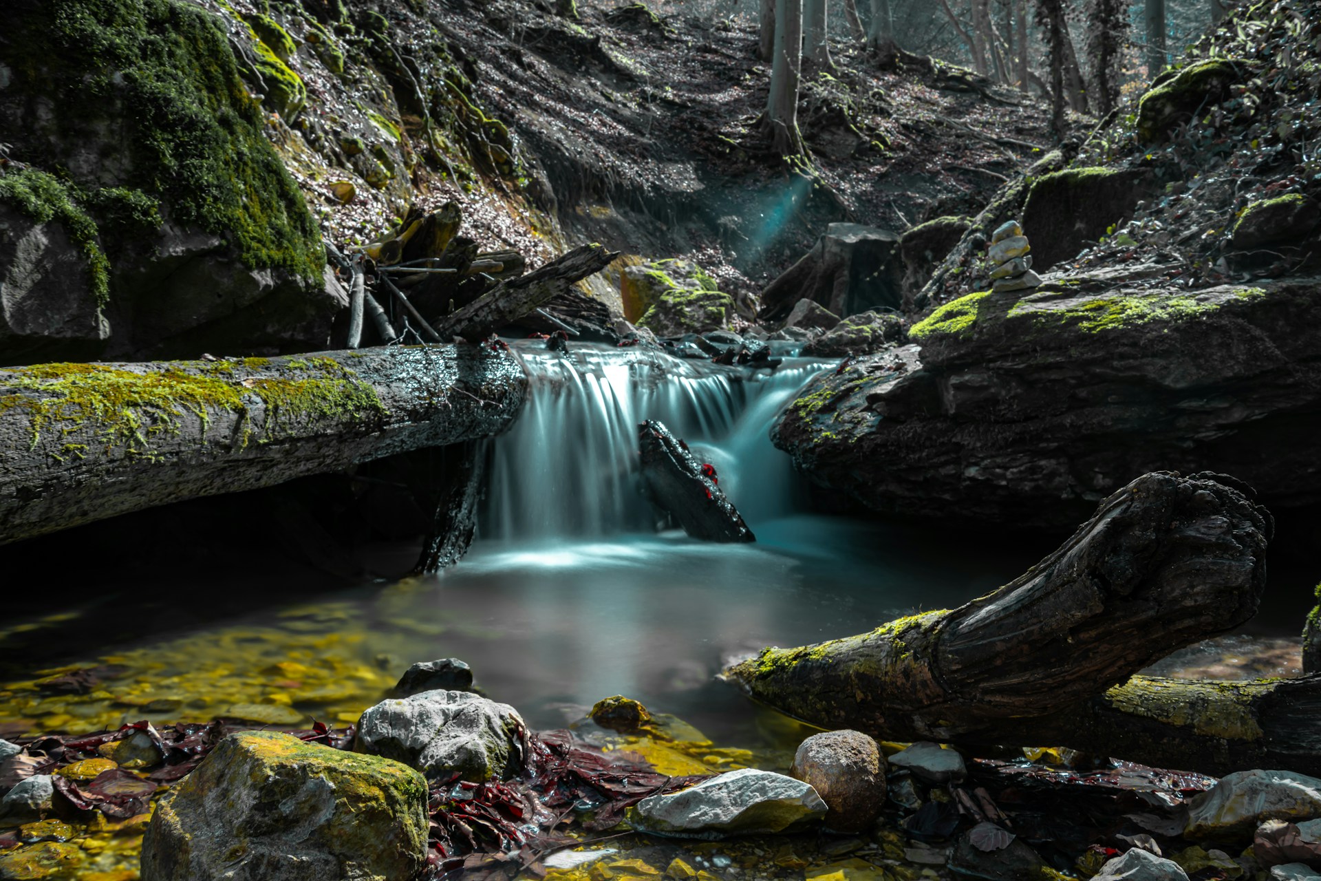 Lorem ipsum dolor sit amet.